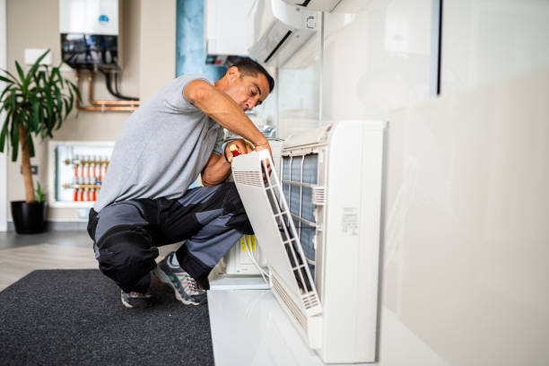 Best Air Duct Mold Removal  in Tyro, NC