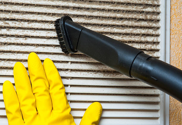 Best Air Duct Sanitizing Services  in Tyro, NC